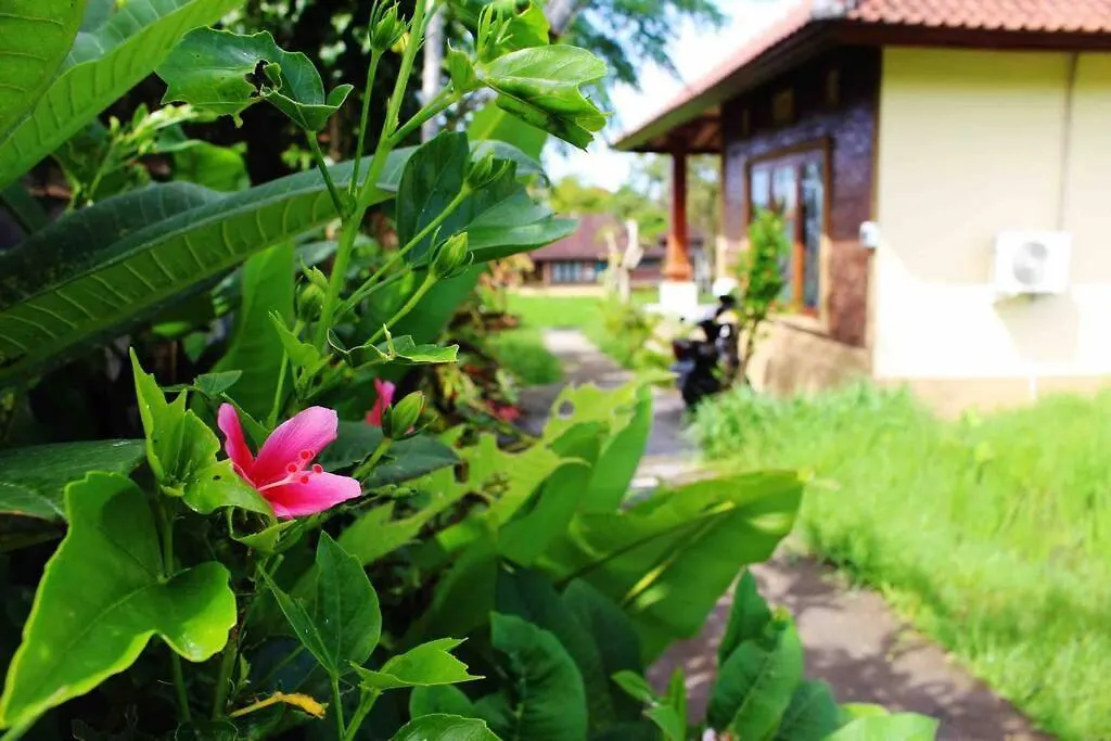 Villa Lovely By Rare Angon Ubud contacts